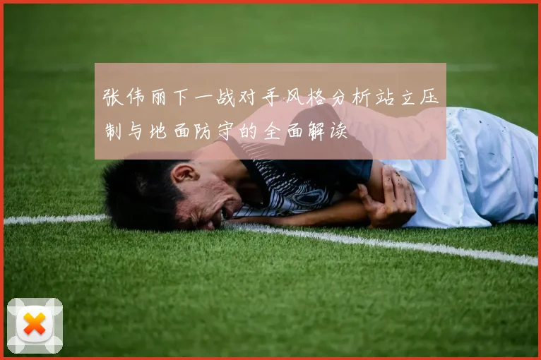 张伟丽下一战对手风格分析站立压制与地面防守的全面解读